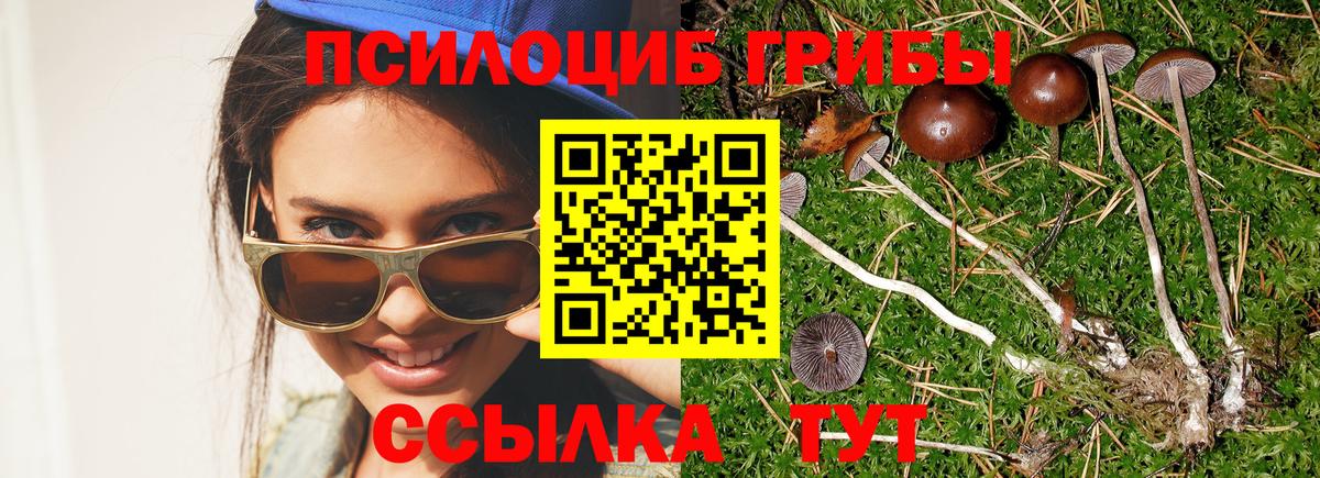 Галлюциногенные грибы GOLDEN TEACHER  Вход с VPN  Ликино-Дулёво 